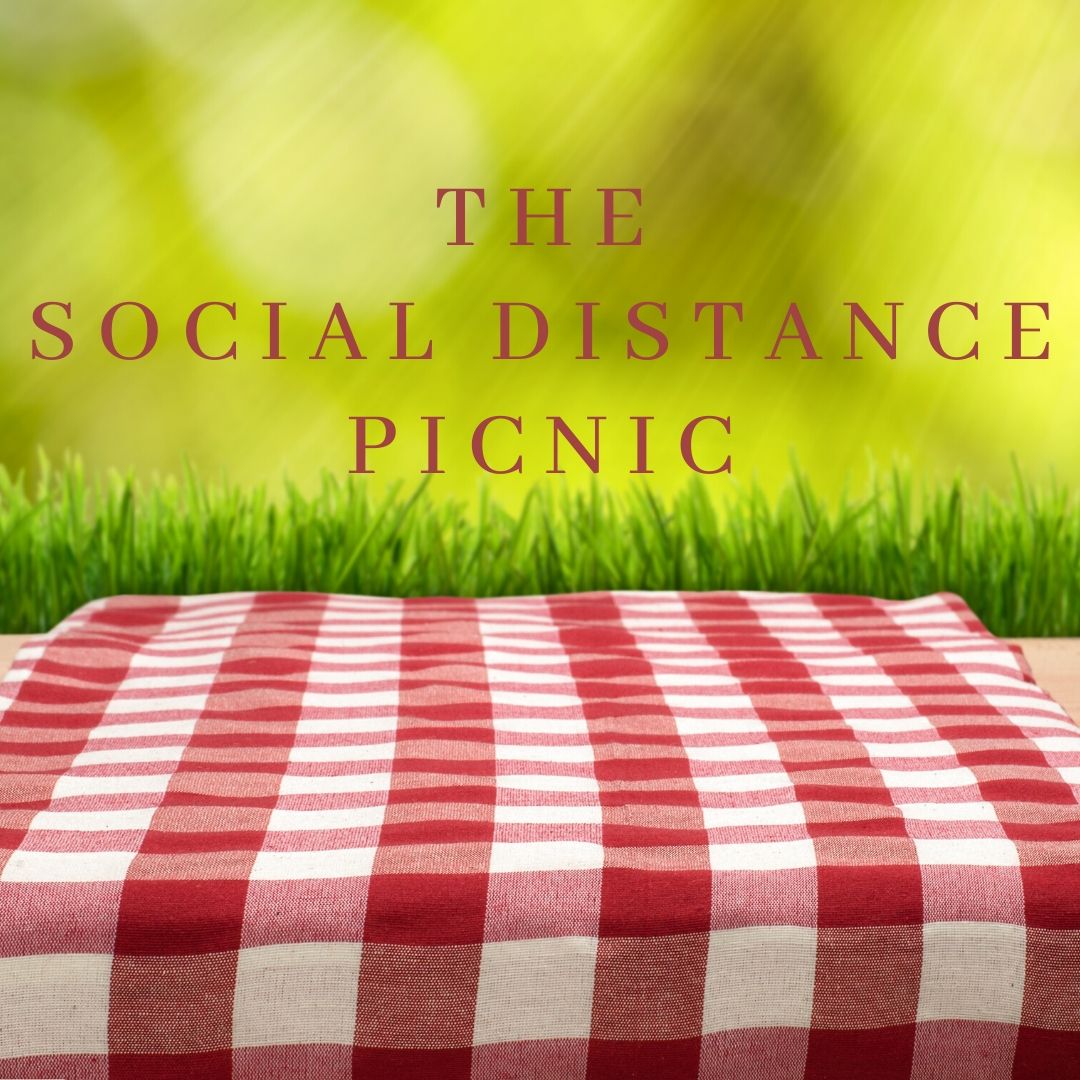 The Social Distance Picnic