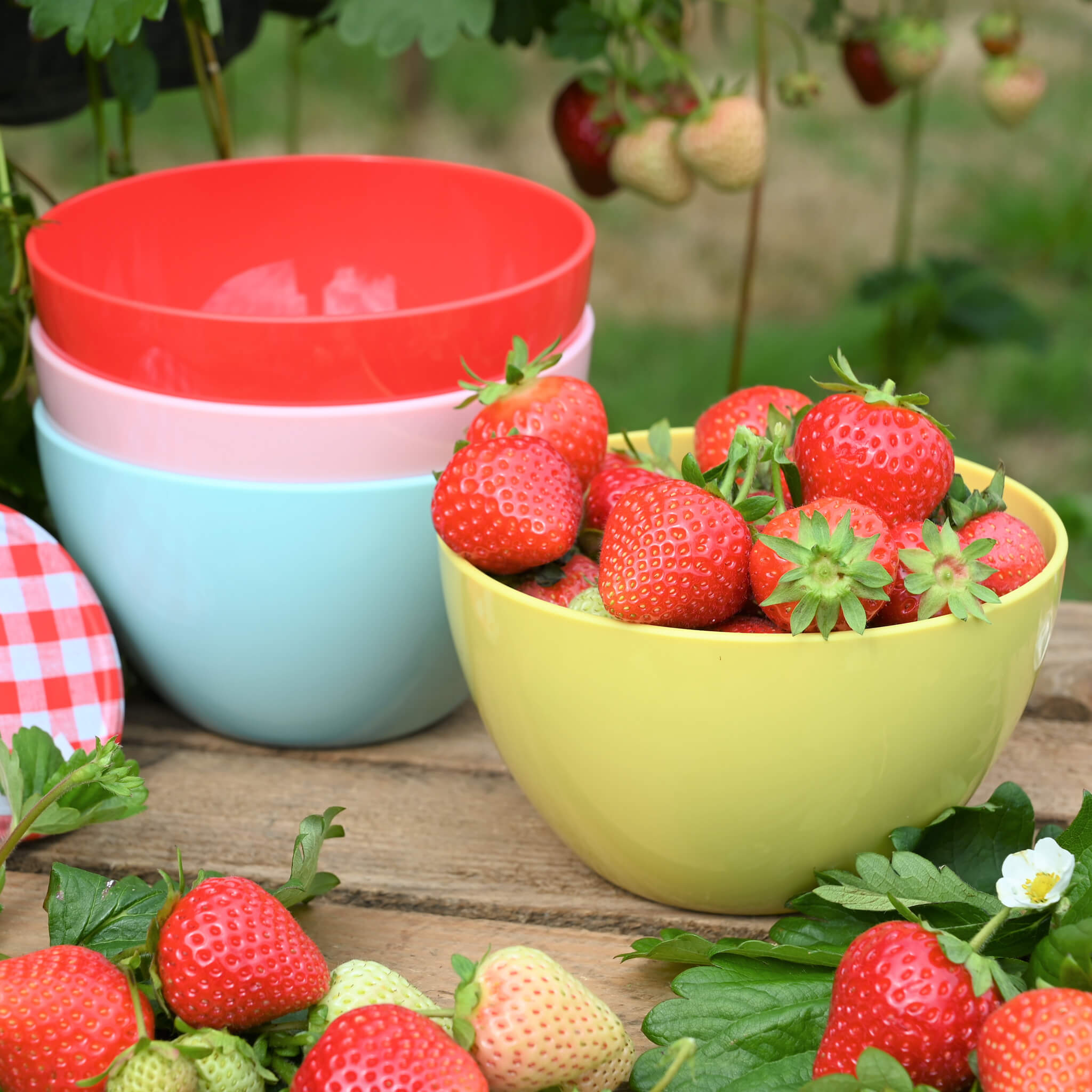Strawberries & Cream Bowls (Set of 4) - Alfresco Dining Company