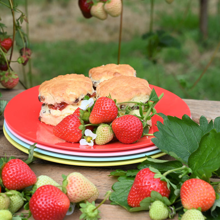 Strawberries & Cream Plates (Set of 4) - Alfresco Dining Company