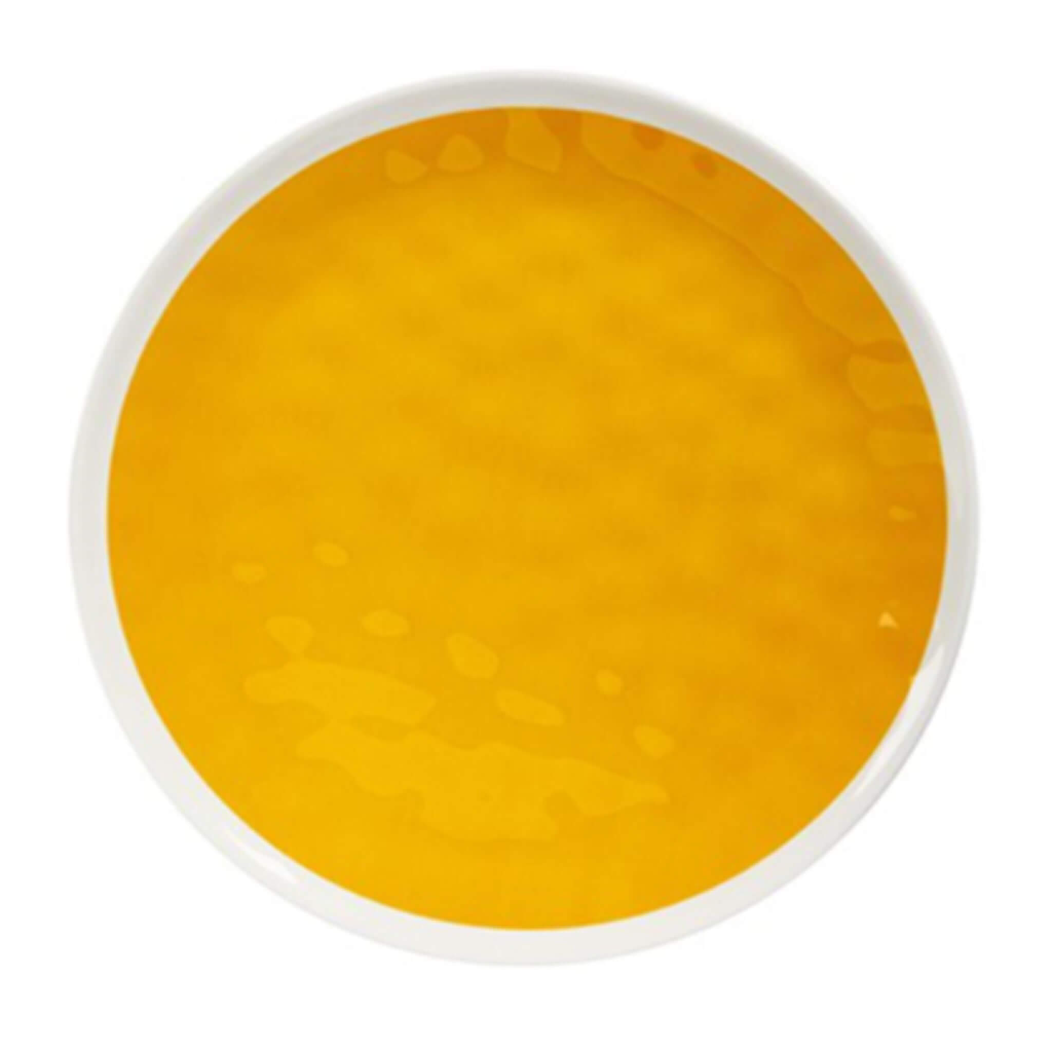 Mustard Melamine Dinner Plate (Set of 4) - Alfresco Dining Company